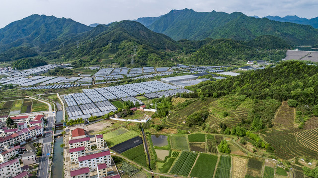 寿仙谷药业基地