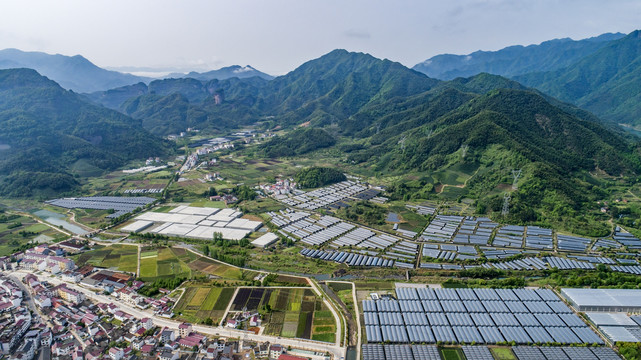 寿仙谷药业基地