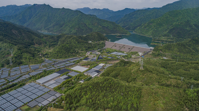 青山绿水