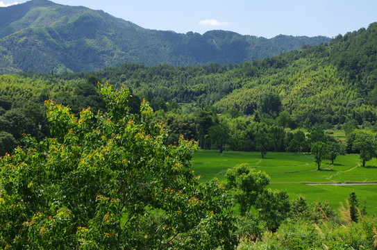 皖南山区