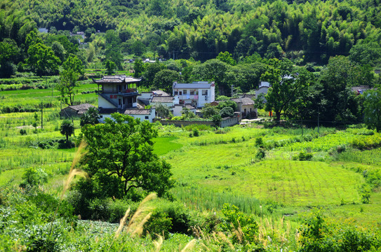 塔川人家