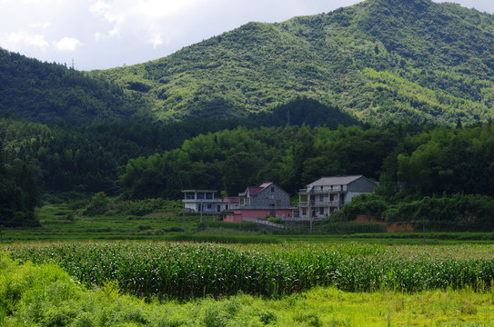 山谷人家