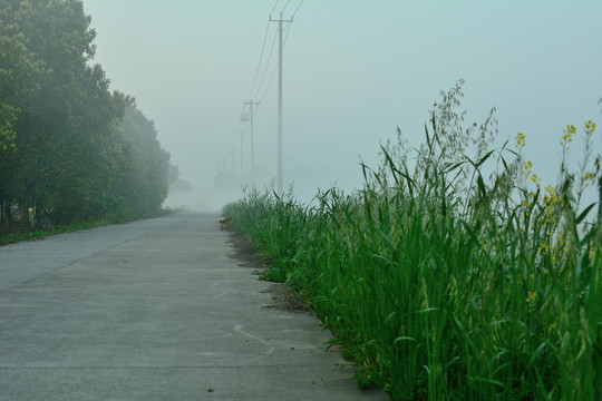 乡间小路