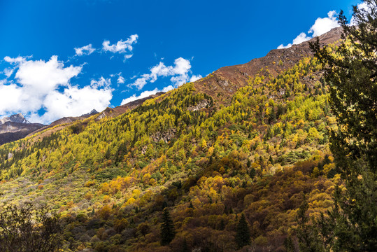 四川四姑娘山自然风光