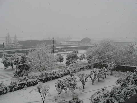 雪景