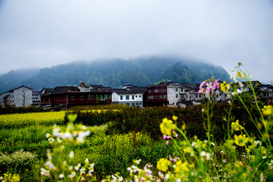 青木川