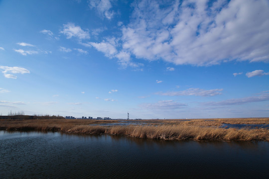 大庆湿地