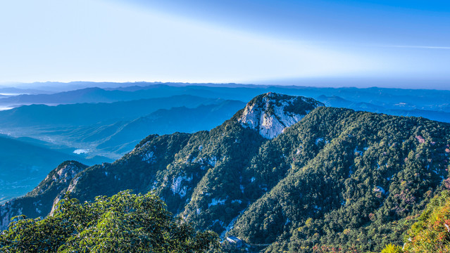 泰山