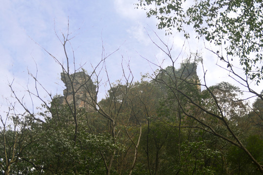 张家界金鞭溪骆驼峰