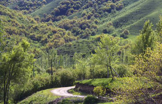 中华福寿山景区