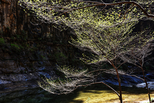 八泉峡