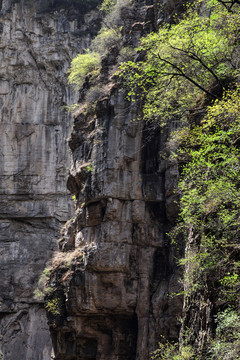 八泉峡