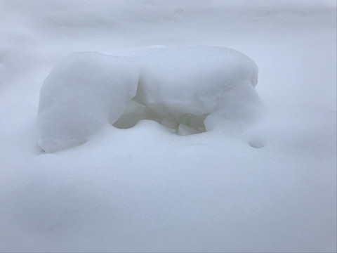 大秃顶子山