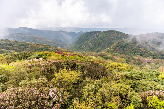 重庆金佛山自然风光