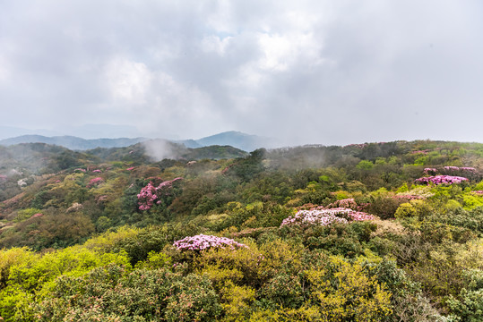 重庆金佛山自然风光