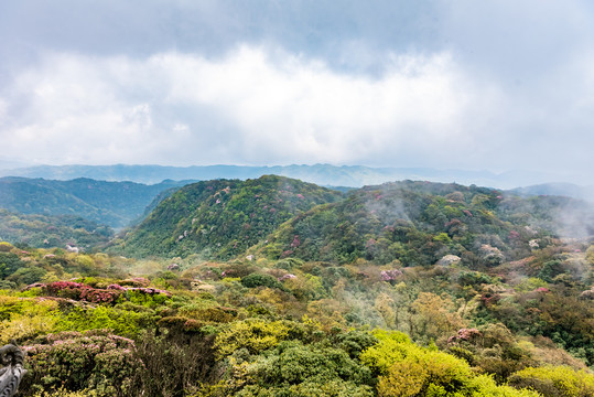 重庆金佛山自然风光