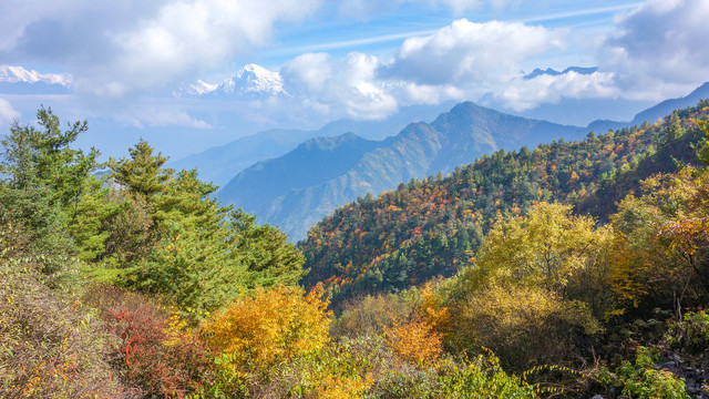 牛背山风光