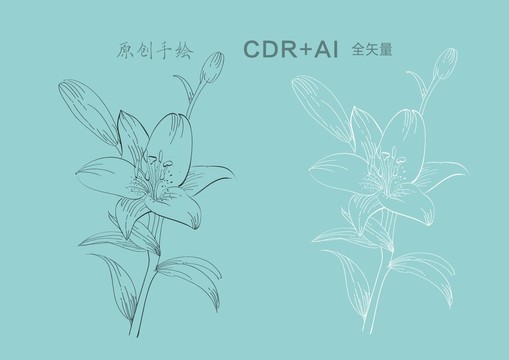 手繪百合花