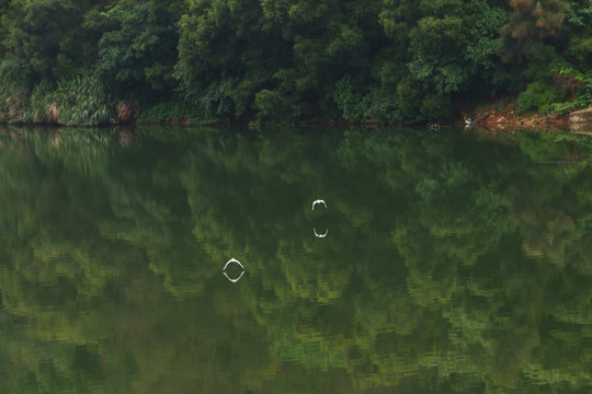 福州登云水库