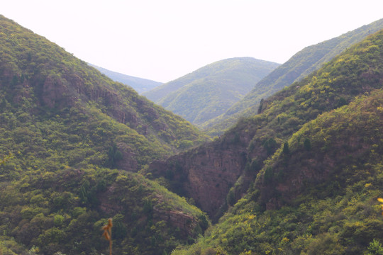 青山