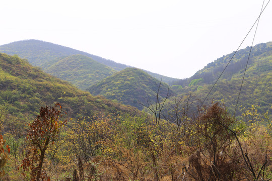 山区风光