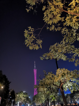 广州塔夜景