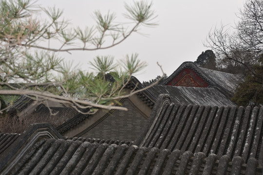 颐和园屋顶灰瓦