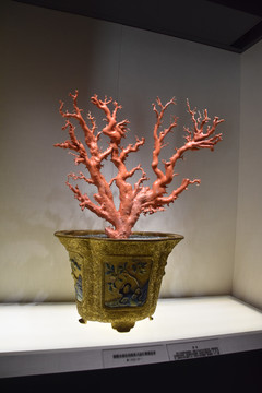 故宫珍宝红珊瑚树