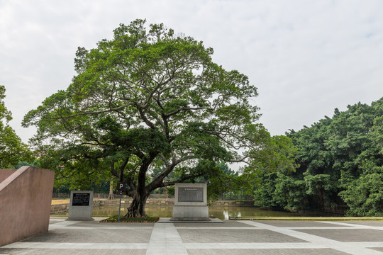 销烟池