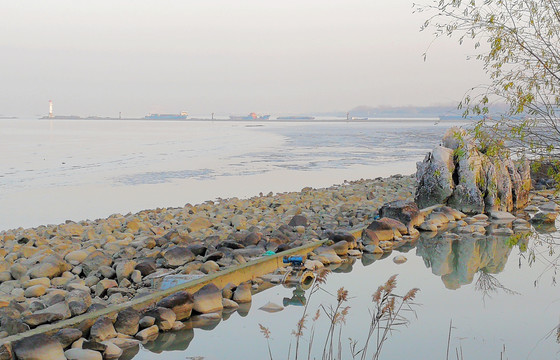 炮台湾湿地公园