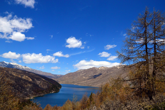 木格措风景区