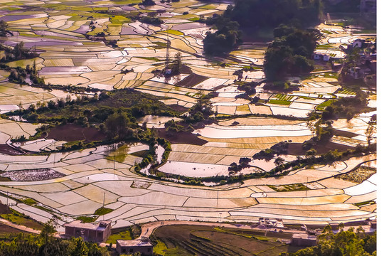 黑尔水田风光