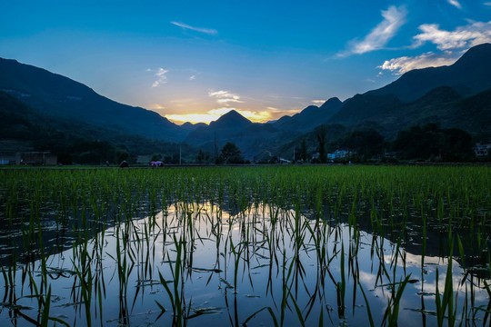 黑尔水田风光