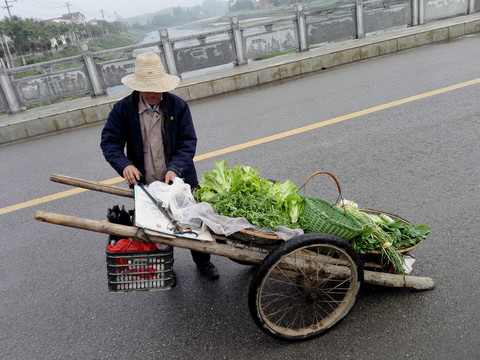 拖板车卖菜的老农