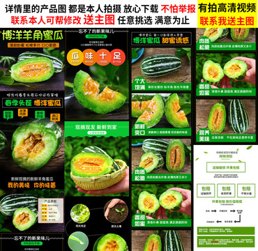 博洋蜜瓜詳情