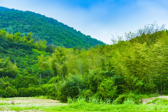 青山