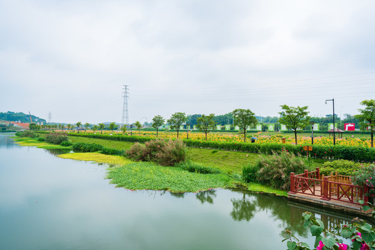 南宁那考河湿地公园