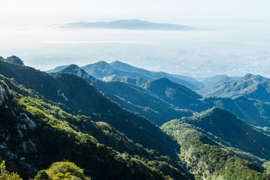 泰山