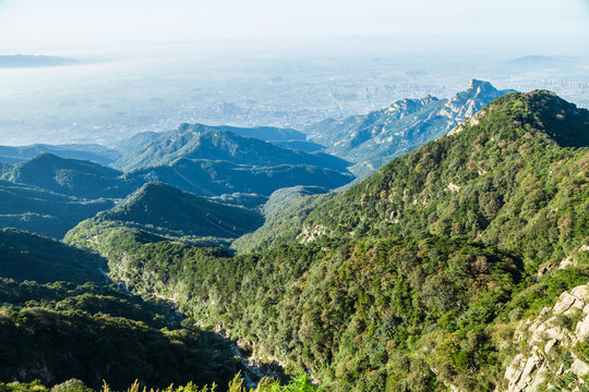 泰山