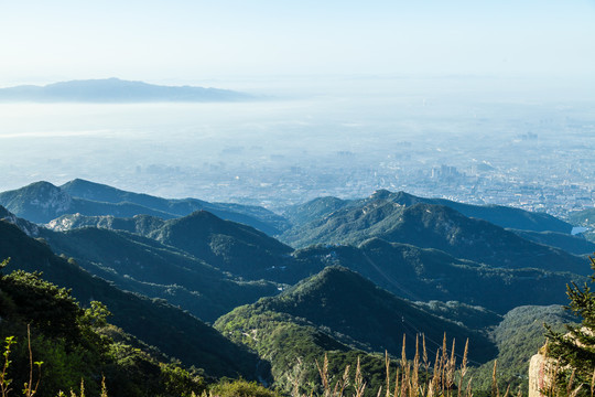 泰山