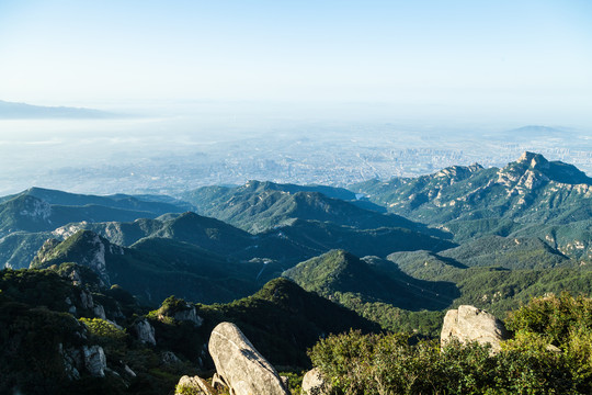 泰山