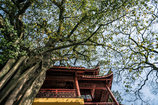 重庆南山佛教寺庙涂山寺风光