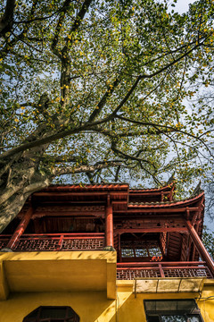 重庆南山佛教寺庙涂山寺风光