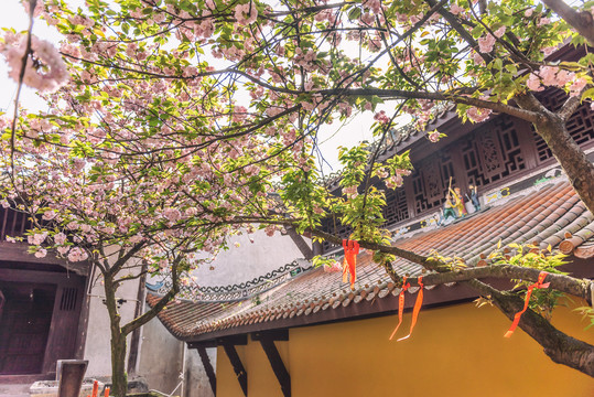 重庆南山佛教寺庙涂山寺风光