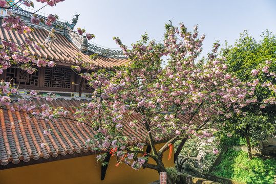 重庆南山佛教寺庙涂山寺风光