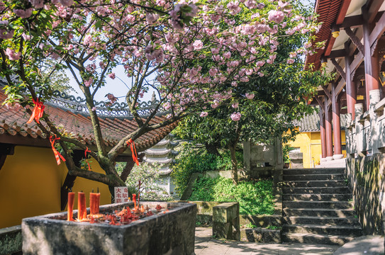 重庆南山佛教寺庙涂山寺风光