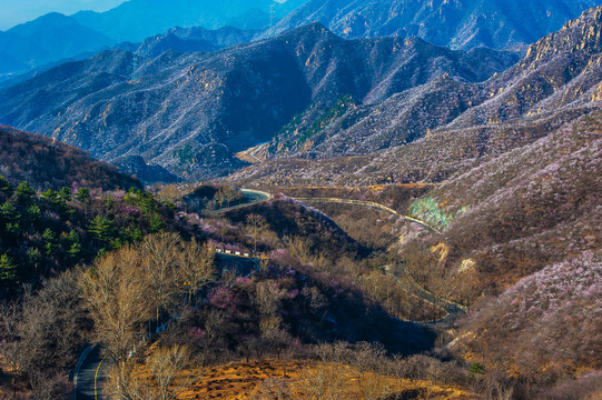 山区春色山区公路