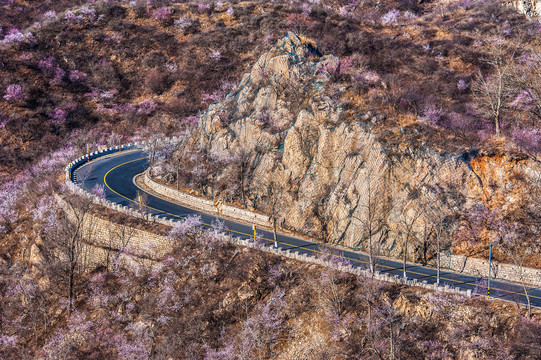 春天的山野山区公路