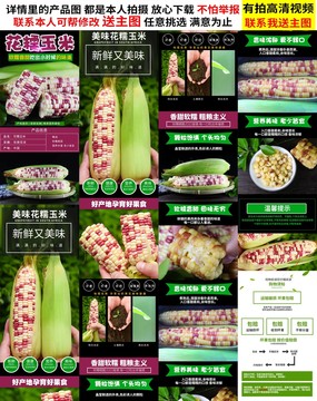 花糯玉米詳情