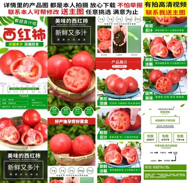 西紅柿1
